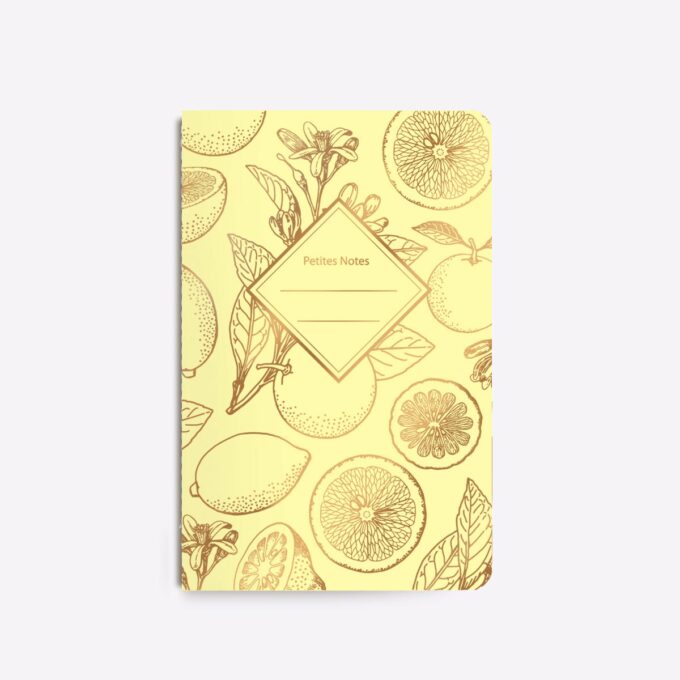 Carnet cousu LEMONADE