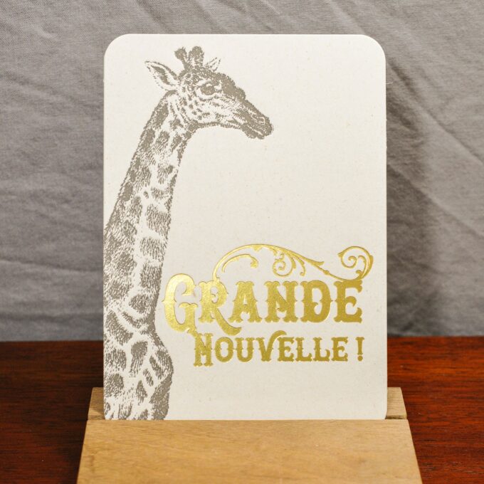 Carte Grande Nouvelle