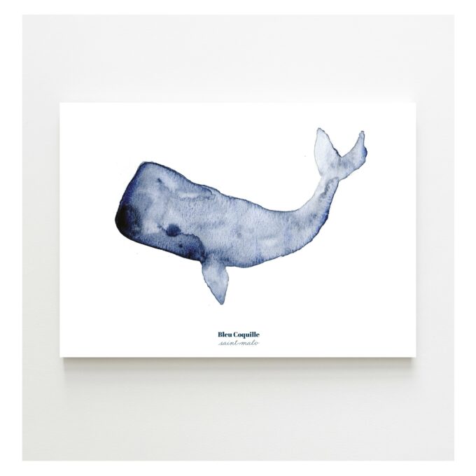 Baleine - Affiche A4  Bleu Coquille