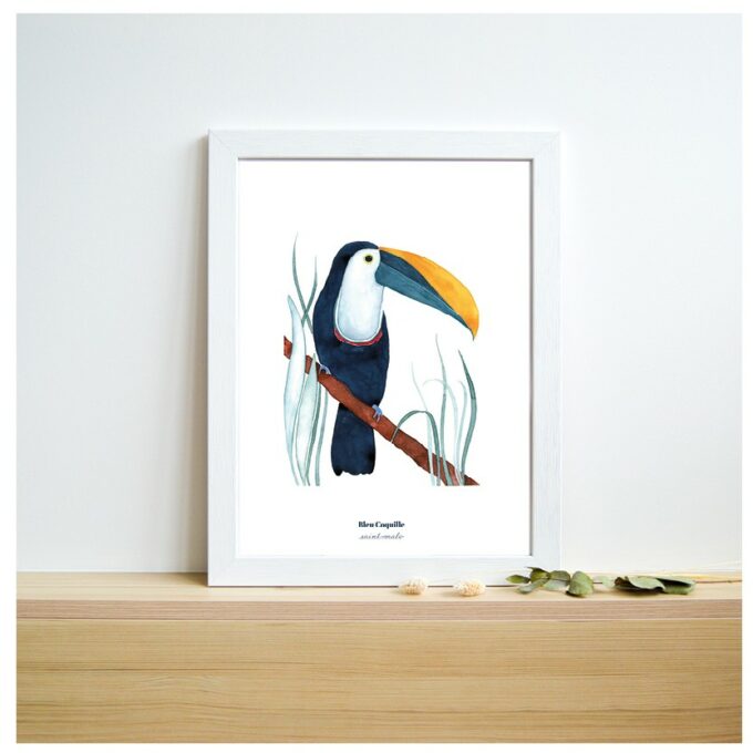 Affiche Toucan 30X40 - Bleu Coquille